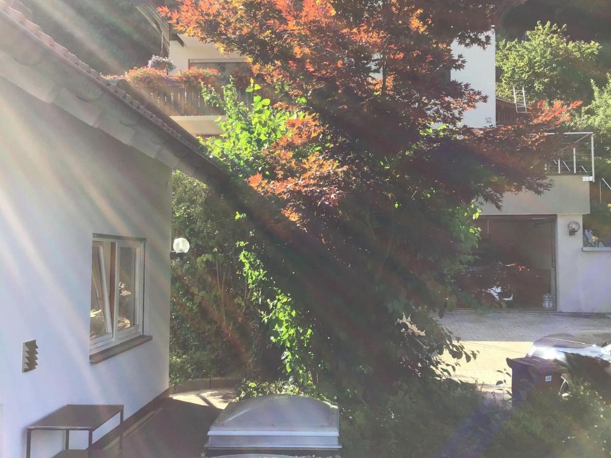 Ferienwohnung Am Eiberg Bad Wildbad Eksteriør bilde